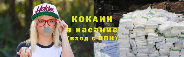 дурь Пестово
